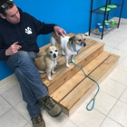 Hounds Town Commack Rd