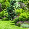 Excellent Landscaping Design and Maintenance LLC gallery