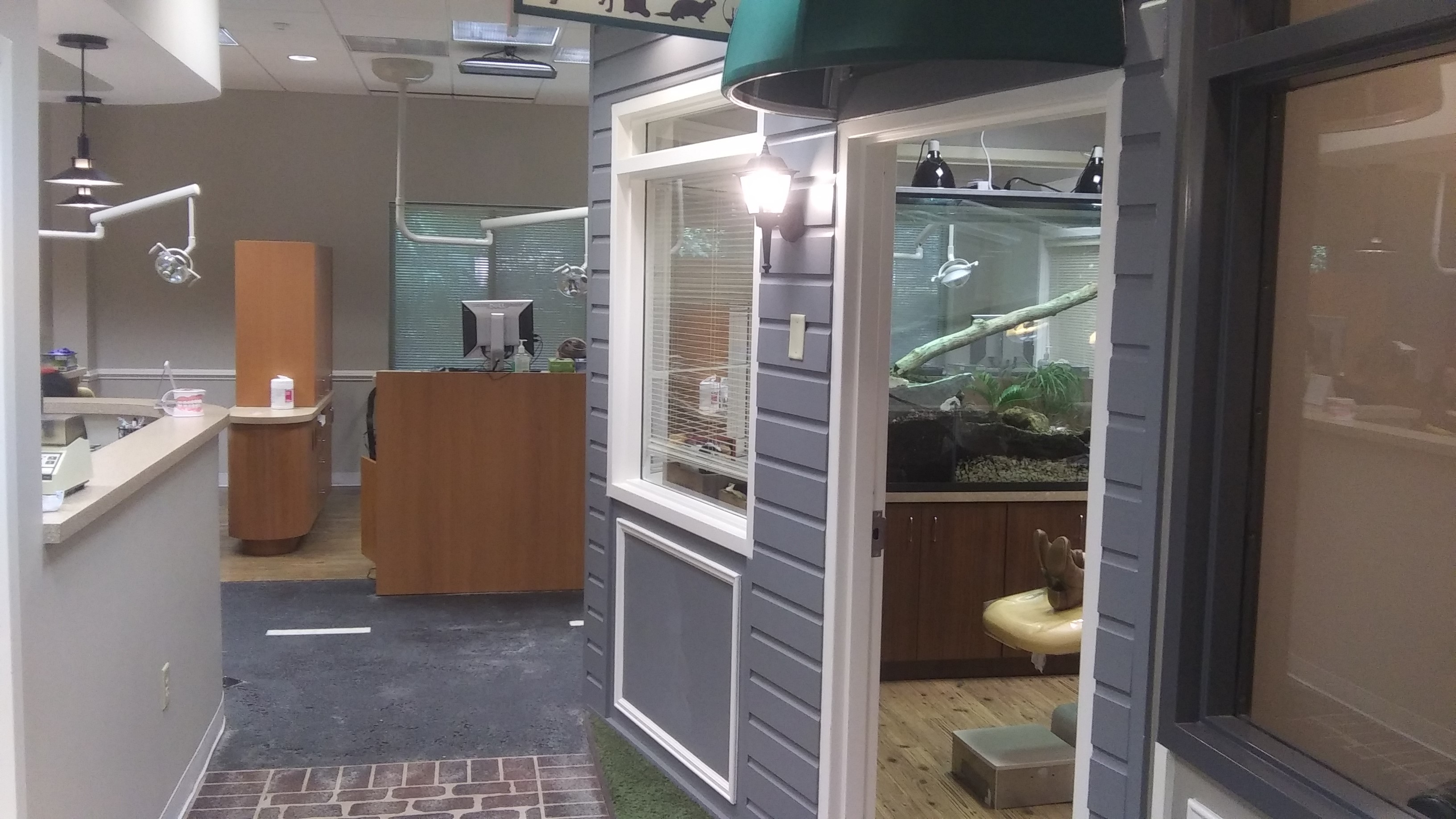 Johns Creek Dental Town