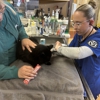 VCA Bolingbrook Animal Hospital gallery