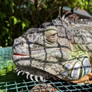 Panaewa Rainforest Zoo & Gardens - Zoos