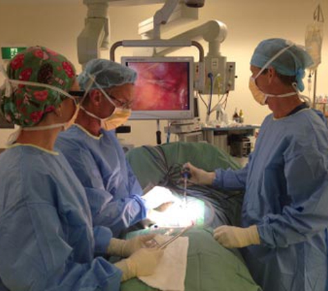 Dr Andrew Ramsay Coffs Harbour Surgical - Coffs Harbour, NSW