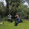 Beautify Your Yard gallery