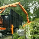 Hammock Tree Service - Tree Service