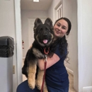 Brewster Veterinary Hospital - Veterinarians