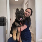 Brewster Veterinary Hospital