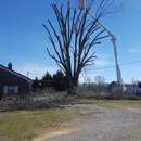 A-1 Tree Service and Landscaping - Tree Service