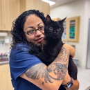 CityVet | Lake Nona Veterinary & Urgent Care - Pet Services