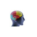 Puget Sound Neurology | Tacoma, Washington - Physicians & Surgeons, Neurology