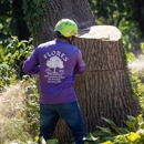 Flores Tree Service & Landscaping Inc - Tree Service