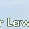 Tender Lawn Care gallery