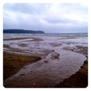 Crescent Beach Associates - Professional Organizations