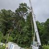 Erwin’s Tree Service gallery