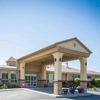 Comfort Inn Glenmont - Albany South gallery