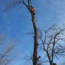 Kivisto West Tree Service LLC - Landscaping & Lawn Services