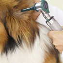 Mission Veterinary Hospital - Pet Services