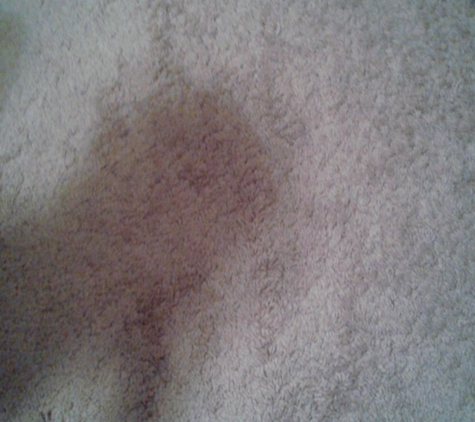 Carpet Source - Albuquerque, NM. Shadow helps show wrinkles in carpet