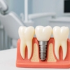 Prosth & Co. Dental gallery