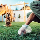 Pet Butler - Waste Recycling & Disposal Service & Equipment