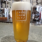 True Anomaly Brewing Company