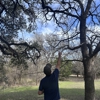 Leaf Tree Services gallery