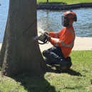 CBM Tree Services - Tree Service
