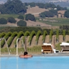 Carneros Resort and Spa gallery