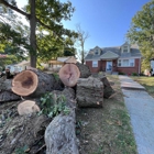 Prestige Tree Experts