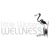Little Waters Wellness with Dr. Kristina Wodicka gallery