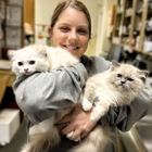 Countryside Animal Clinic