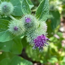 Lake Superior State Park - Places Of Interest