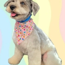Cotton Candy Pup Salon - Pet Grooming