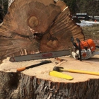 ArborVantage Tree Care