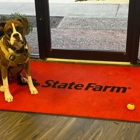 Mike Wilkins - State Farm Insurance Agent