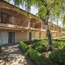 Days Inn by Wyndham Modesto - Motels