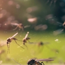 Bugs R Us - Pest Control Equipment & Supplies