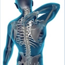 Holt, Brian P, DC - Chiropractors & Chiropractic Services