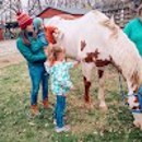 Crossroads Ranch - Horse Training