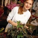 Neubauers Flowers Inc - Flowers, Plants & Trees-Silk, Dried, Etc.-Retail
