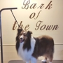 Bark of the Town Pet Salon
