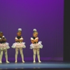 Dance Quest International gallery