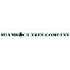 Shamrock Tree Company gallery