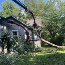 Justin Dugan's Tree Service - Tree Service