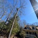 Rise Above Tree Care - Tree Service