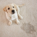 DL Personal Touch - Carpet & Rug Cleaning Equipment & Supplies