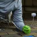 Mold Busters Greenville - Mold Remediation