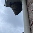 First Strike Pest Elimination