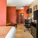 Comfort Suites Panama City near Tyndall AFB - Motels