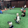 D-BAT Baseball & Softball Academy Mansfield gallery