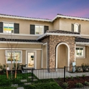 K Hovnanian Homes Lavaux at Vineyard Terrace - Home Builders